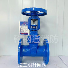 福建耐源 法兰明杆闸阀