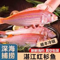 湛江红衫鱼2斤