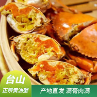 台山正宗黄油蟹3-4两膏油黄油蟹一只