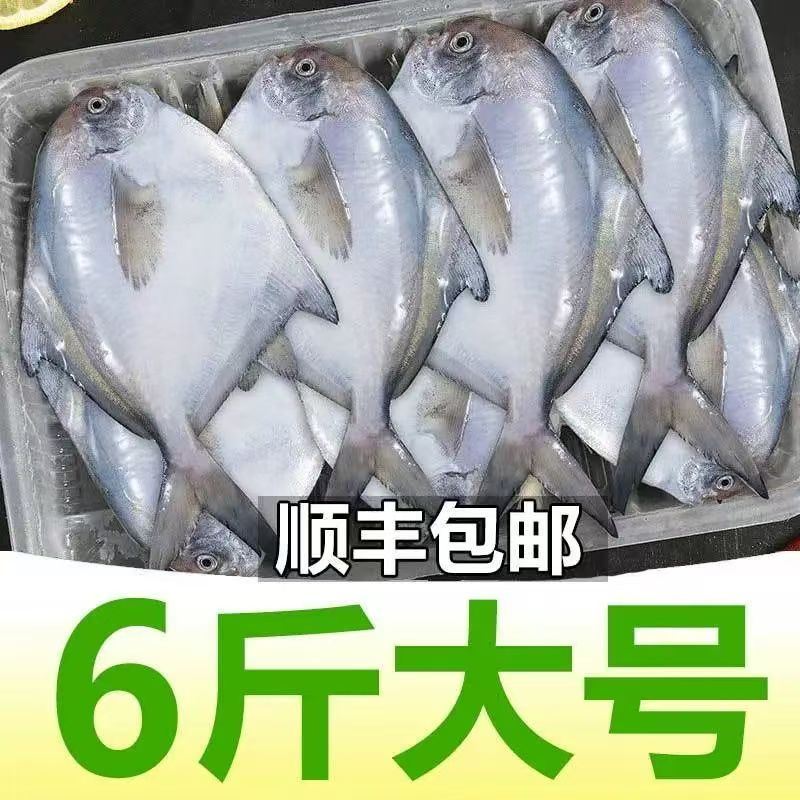 鲳鱼新鲜冷冻东海银鲳鱼500g