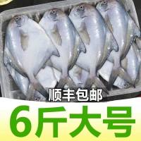 鲳鱼新鲜冷冻东海银鲳鱼500g