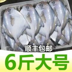 鲳鱼新鲜冷冻东海银鲳鱼500g