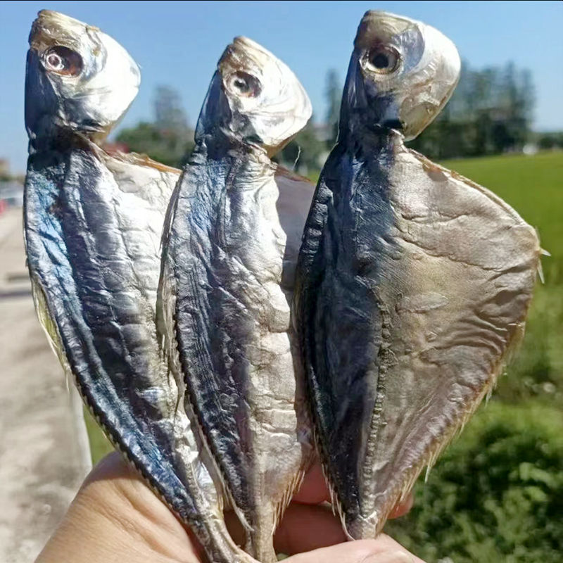 虾池鱼干 500g