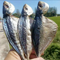 虾池鱼干 500g