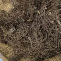 隆兴干货|地胆头干500g