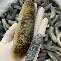 隆兴干货|即食秃参已泡发加热即可食用