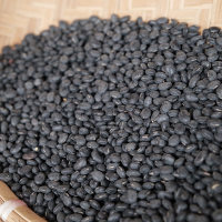 隆兴干货|冲蒌黑豆500g