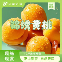 高山锦绣黄桃