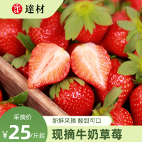 牛奶草莓