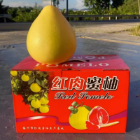 正宗梅州红心柚子