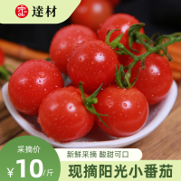 小番茄圣女果